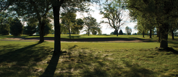 The sun streams through the trees on the course at Coachman's