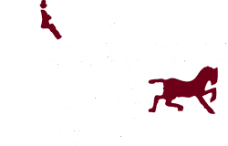 coachman's golf resort